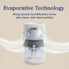 Levoit Superior? Studio Evaporative Humidifier