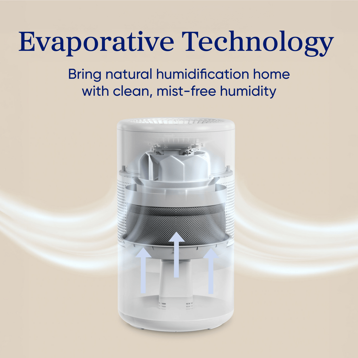 Levoit Superior? Studio Evaporative Humidifier