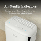 Levoit Vital? Pet Pro Air Purifier for Pets